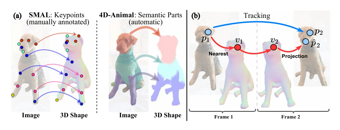 Figure 3: (a) Left: Keypoint alignment (manually annotated)